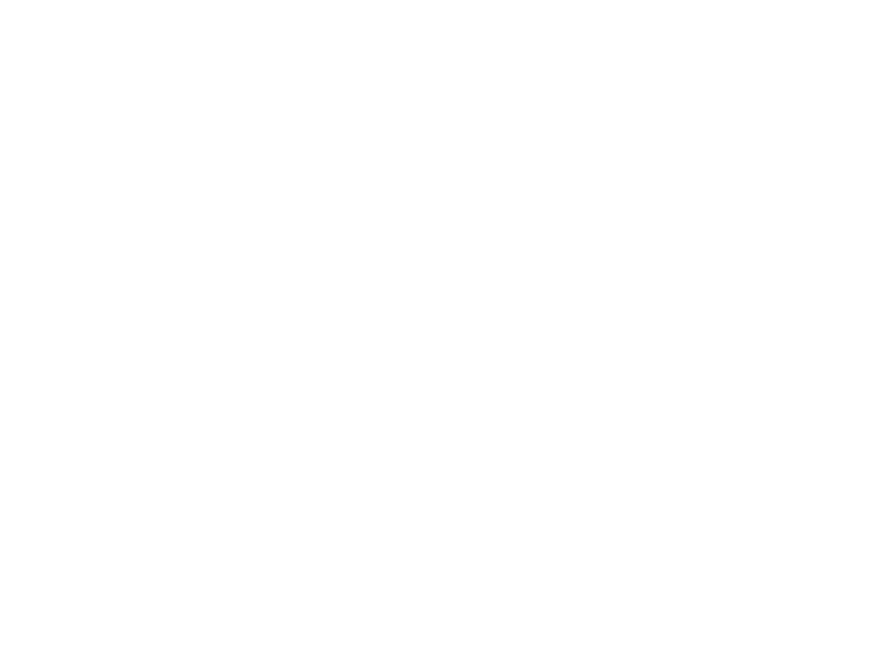 Racial Misclassification program logo